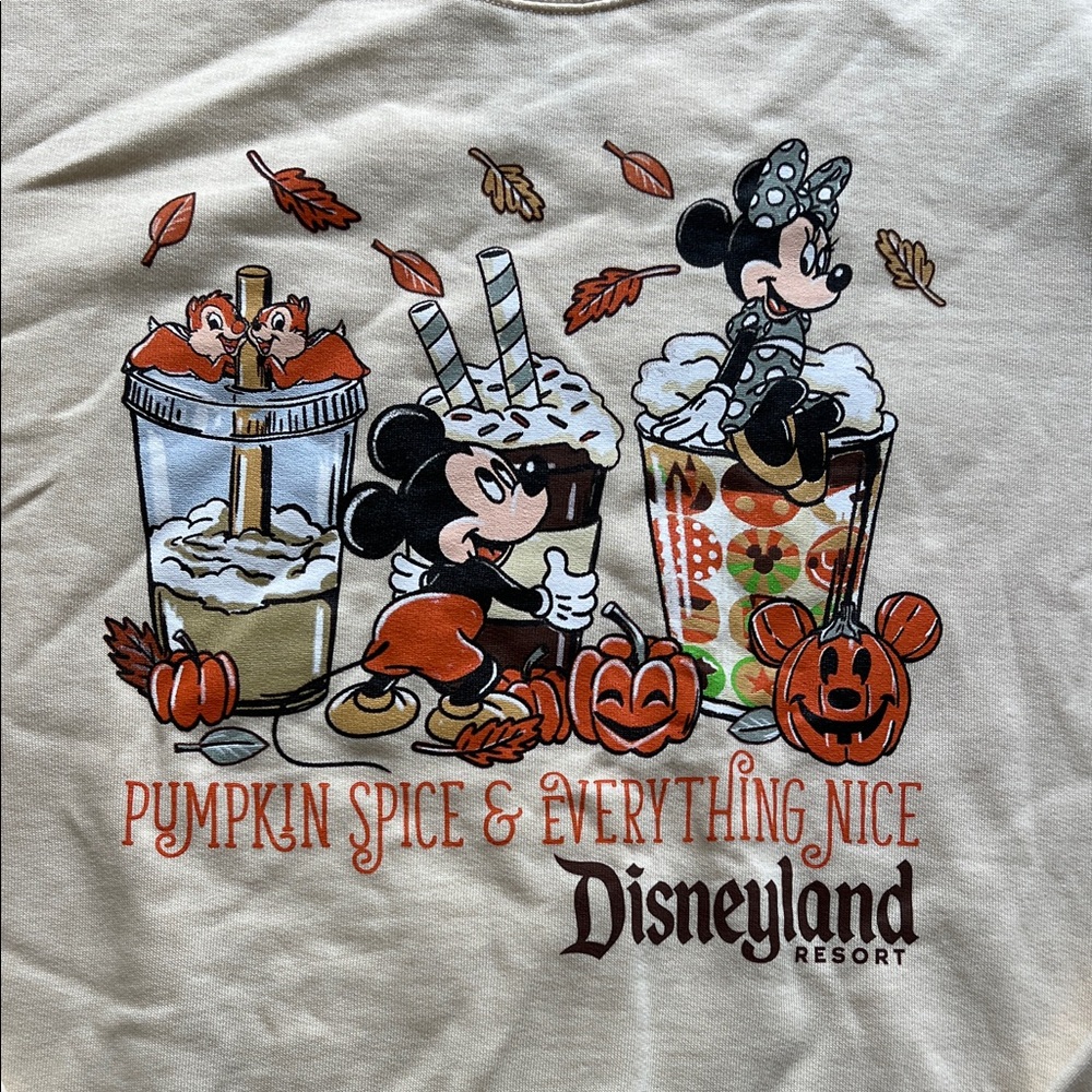 Disneyland Resort Fall Pumpkin Spice Sweater - Picture 2 of 4
